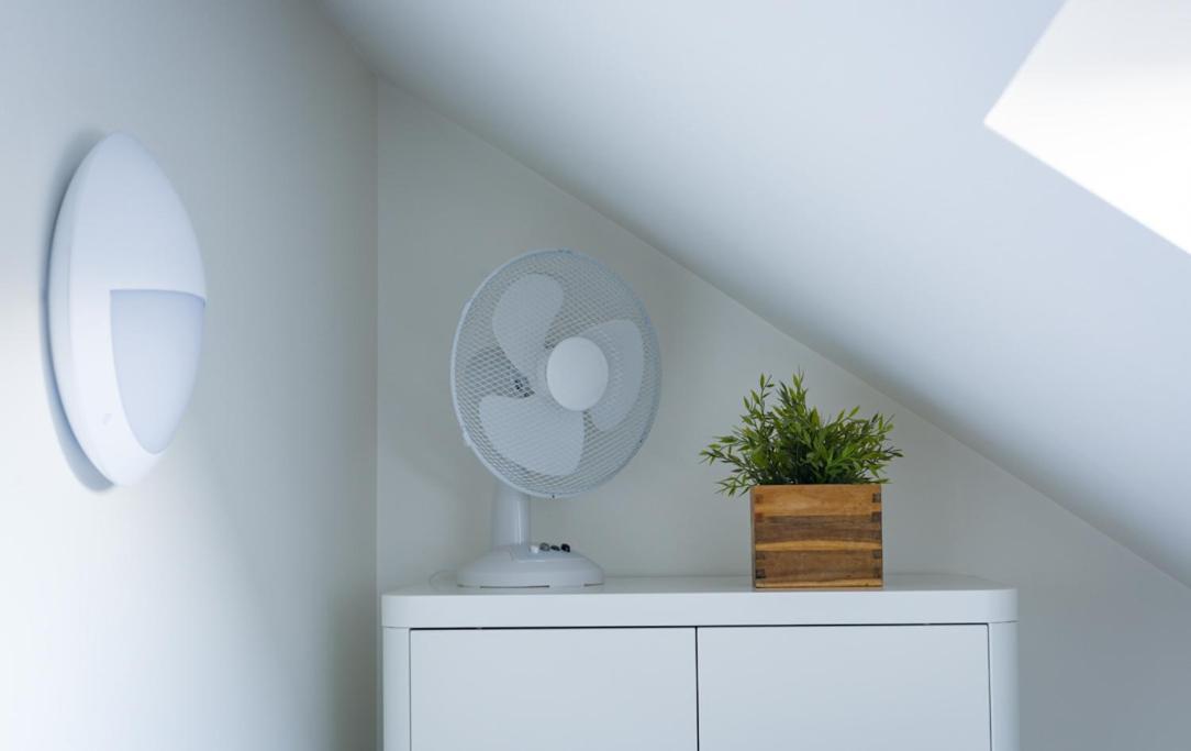 Knockanboy Loft Ballymoney Exteriör bild
